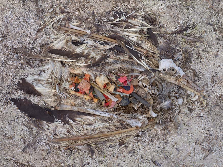 Khám Phá https//rikvipct.com/ - Trang Web Đánh Bài Uy Tín & Đẳng Cấp Trong Thị trường Trực Tuyến